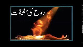 rooh ki haqiqat by mulana tariq jameel