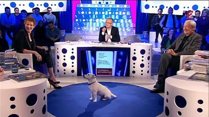 uand le chien de Christophe Dechavanne perturbe l'émission "On n'est pas couché"
