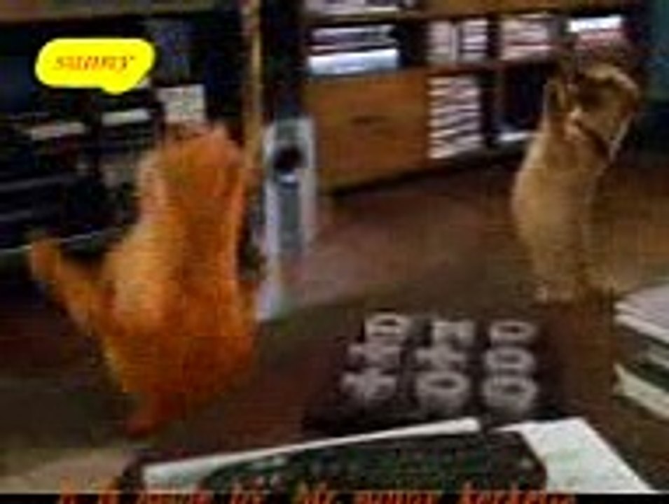 Funy Clip
