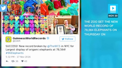 Bronx zoo breaks record for biggest origami elphant display