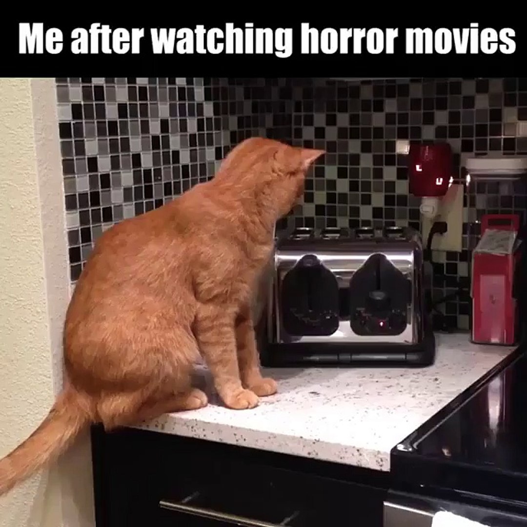 me after watching horror movies