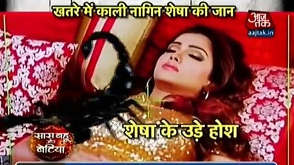 Naagin Season 2 SHESHA KI LAG GAI WATT 20 November 2016 News