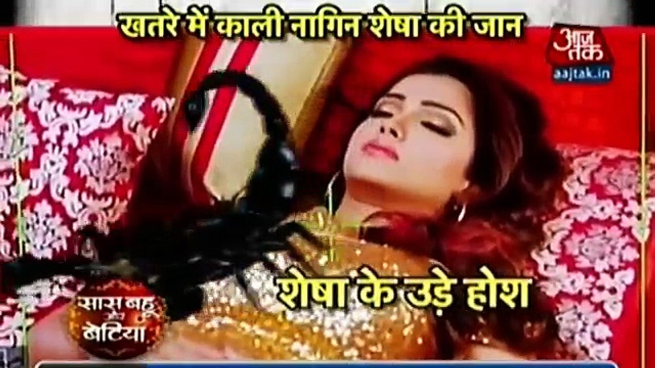 Naagin Season 2 SHESHA KI LAG GAI WATT 20 November 2016 News