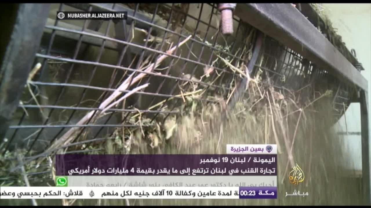 بعين الجزيرة - تجارة القنب (الحشيش) في لبنان ترتفع إلى ما يقدر 4 مليار$