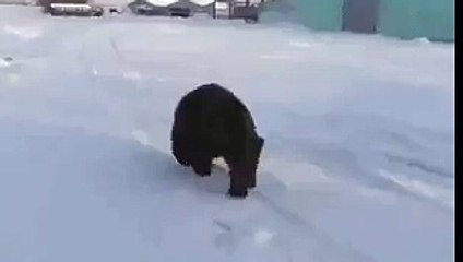 Это Россия,детка!