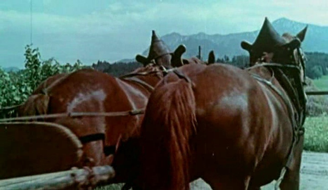 The Dark Charisma Of Adolf Hitler - S01 - E03