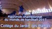 Concours FLASHMOB UNSS championnat du monde de HANDBALL 2017 AS Collège du Jardin des Plantes Poitiers