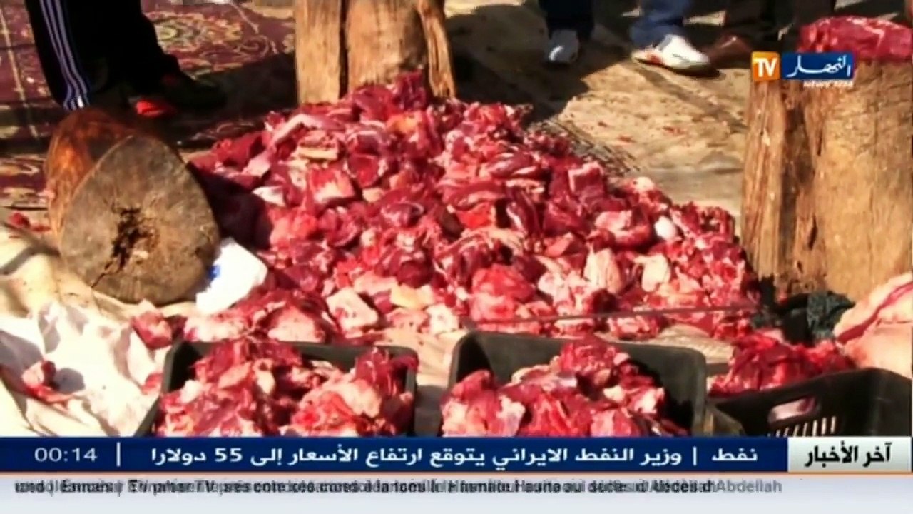 بجاية  الوزيعة.. للإعلان عن إنطلاق موسم جني الزيتون