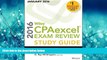 FAVORIT BOOK Wiley CPAexcel Exam Review 2016 Study Guide January: Financial Accounting and