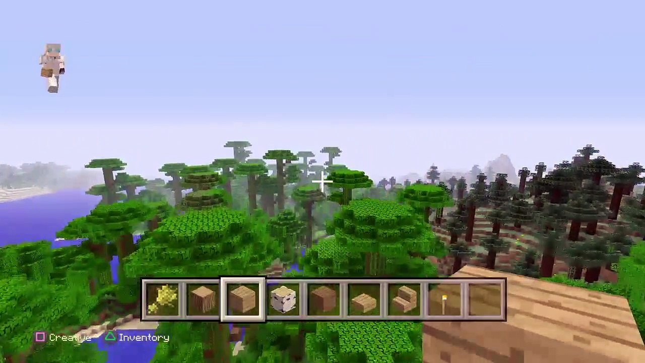 Minecraft #1 {hi} (24)