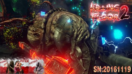 Killing Floor 2 SN:20161119