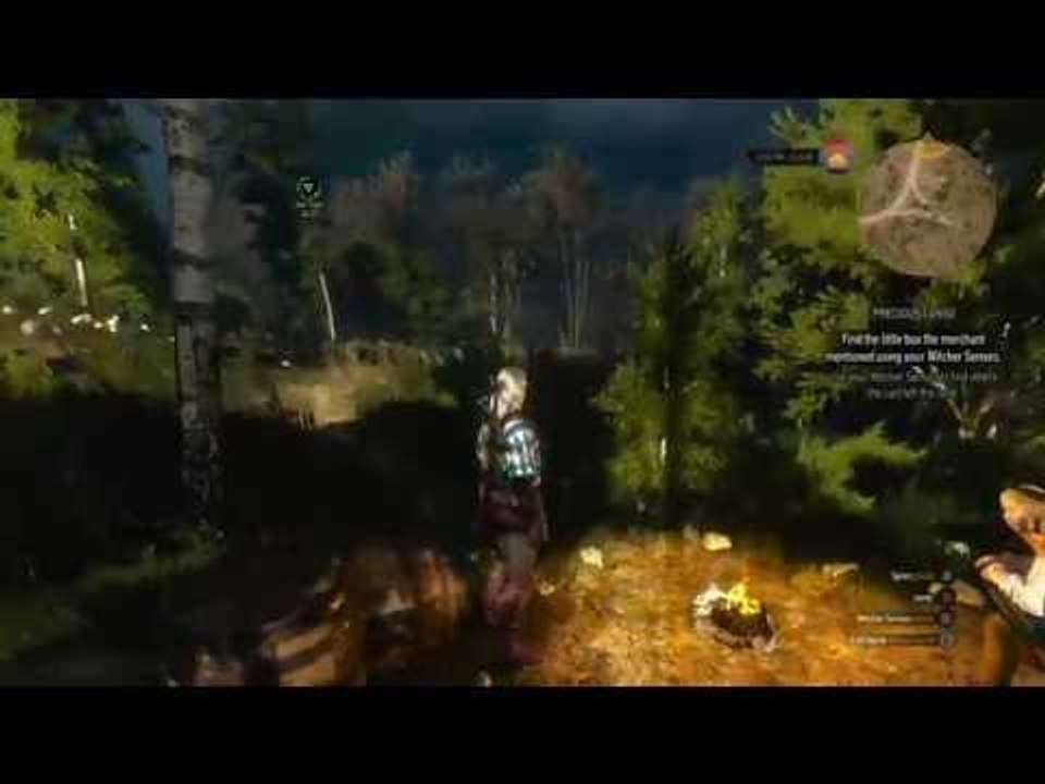 the Adventure Continues. THE WITCHER 3 - 2 / 2