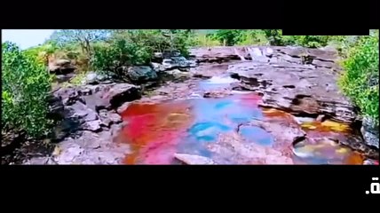 فضل صيام المحرم وعاشوراء وبدعها.