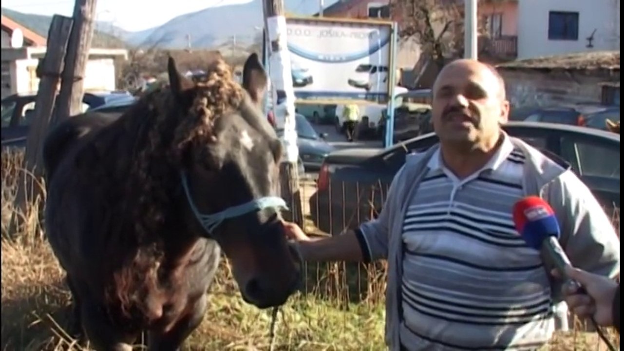 Zmaj na vasaru prodaje konja