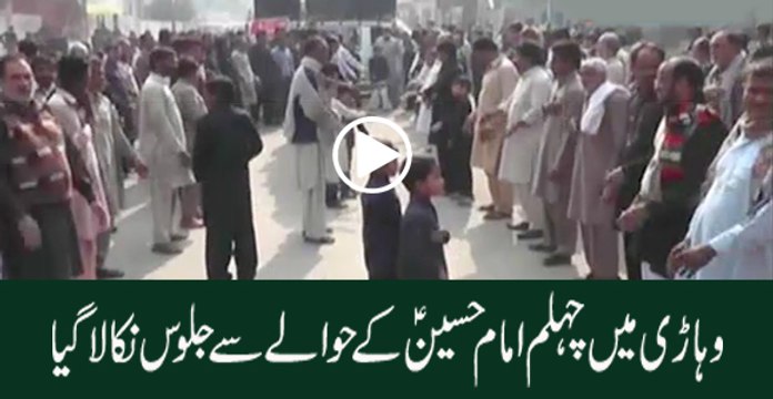 Imam Hussain as chehlum jaloos in Vehari