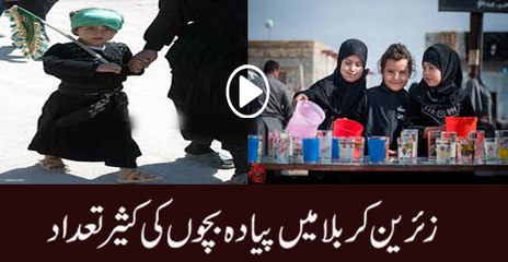 Thousands of Child pilgrims walk to Karbala for Arbaeen