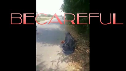 Be-Careful ! You might die Laughing| ہنس ہنس کر برا حال ہو جائے گا