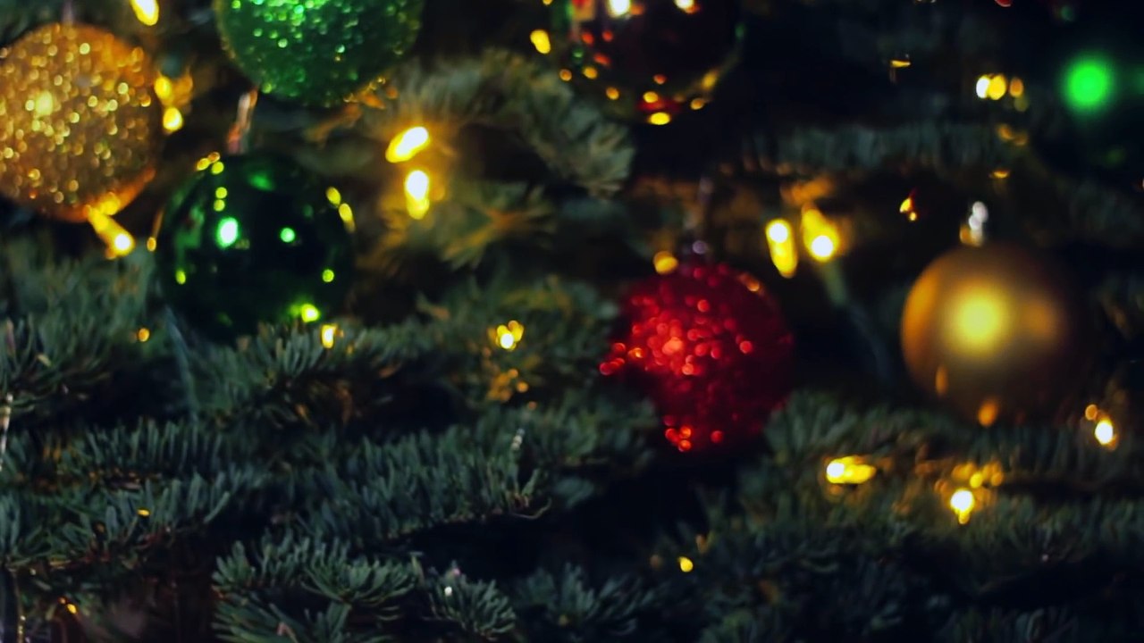 A Fin Fun Christmas