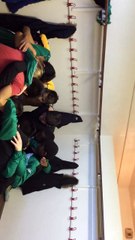 U13 B contre Genlis | Chant de la victoire 10 à 1 !