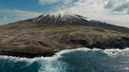 أكبر تجمع للبطاريق على وجه الأرض