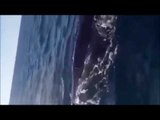 جديد الحراقة الجزائريون يواجهون الحوت الأزرق بقاربهم الصغير خطير جدا Haraga 2016