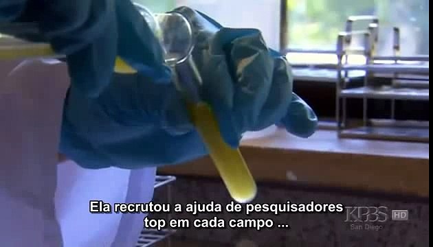 O Silêncio das Abelhas