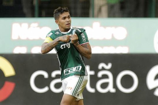 Palmeiras vence o Botafogo e pode ser campeão na próxima rodada