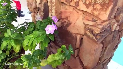 Underwear Swim Party || Mommy Monday