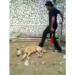 یہ بھی تھوڑا چیک کرے اگی بھی شیئر کرو