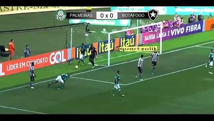 Скачать видео: Palmeiras 1 x 0 Botafogo - Gol & Melhores Momentos - Campeonato Brasileiro 2016