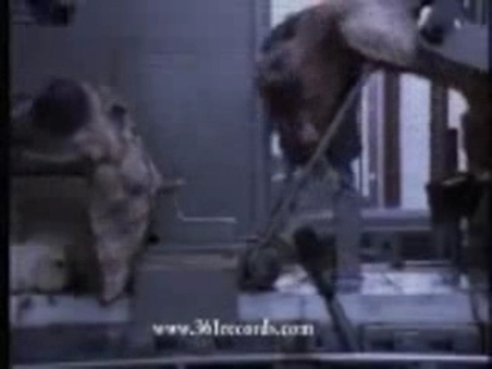 Akhenaton_La fin de leur monde