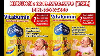 0813.3730.5776 (TSEL) - Madu Untuk Kecerdasan