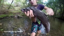 Miller Wilson - Wild Animals, Fishing, Sharks, lizards, Eels and Snakes . - YouTube