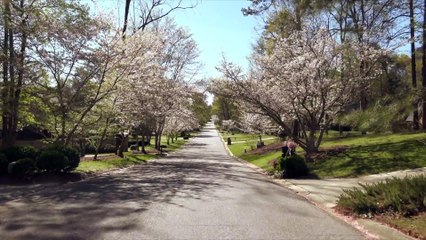 ELVIS LIVES! TRAILER