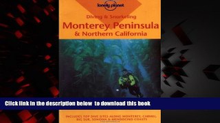 liberty book  Diving and Snorkeling Monterey Peninsula and Northern California (Lonely Planet