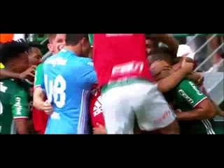 ESPORTESNET - Palmeiras 1 x 0 Botafogo - Brasileirão 2016