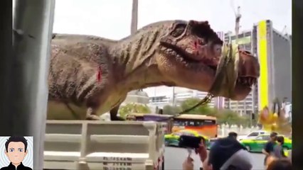 FUNNY Videos & Crazy Clips  2016 Compilation