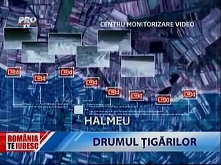 Drumul tigarilor - Contrabanda cu tigari - Romania Te Iubesc