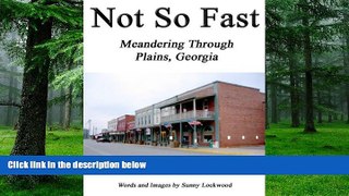 Buy  Not So Fast: Meandering Through Plains, Georgia Sunny Lockwood  Full Book