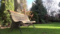 梶原吉広のおすすめ「陽が当たるベンチの動画」