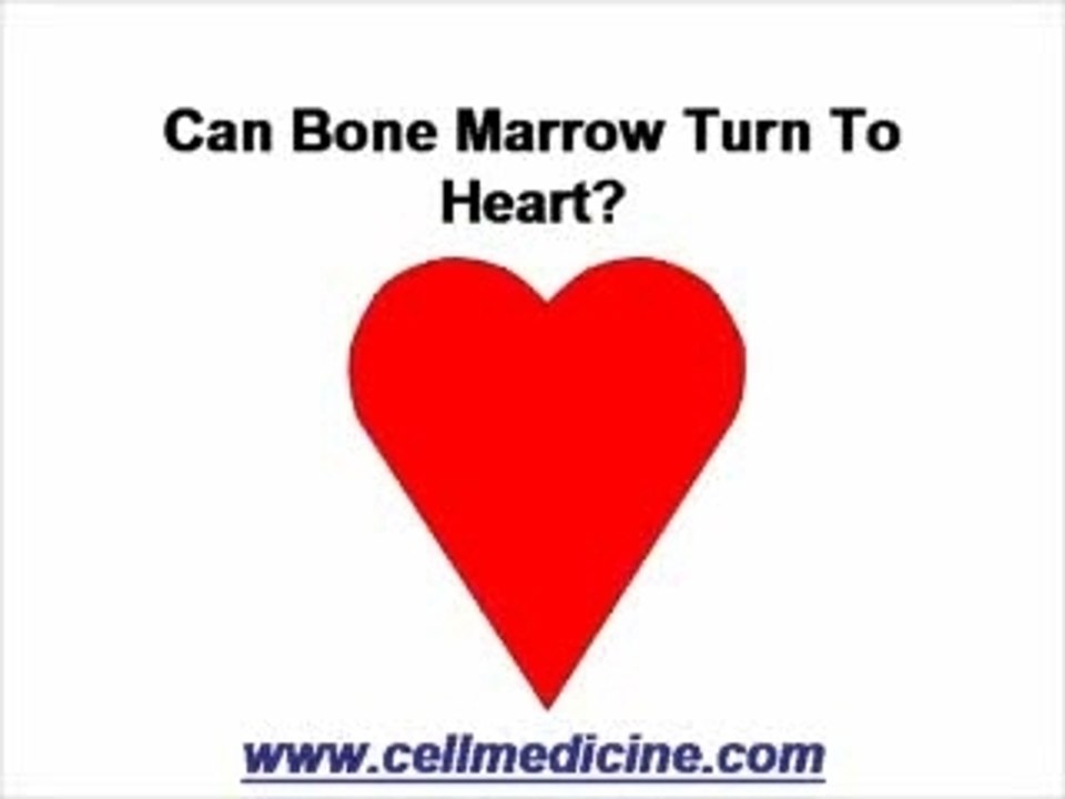Bone Marrow Differentiation to Heart: YES