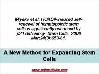 Bone Marrow Stem Cell Expansion by HOXB4 and p21 Knock Out