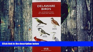 Buy  Delaware Birds: A Folding Pocket Guide to Familiar Species (Pocket Naturalist Guide Series)