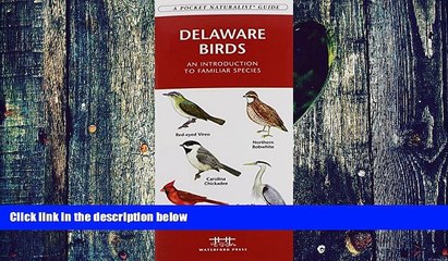 Buy  Delaware Birds: A Folding Pocket Guide to Familiar Species (Pocket Naturalist Guide Series)