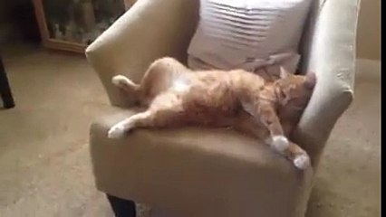 星期天～就是要這樣～