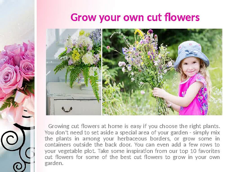 Caroline Plouff | Tips to Make Cut Flowers Last Longer