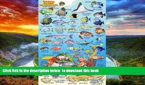 Best book  Honduras Bay Islands Reef Creatures Guide Franko Maps Laminated Fish Card 4