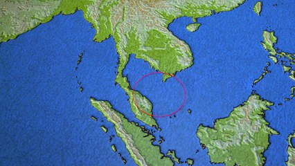 Malaysia Airlines flight MH370