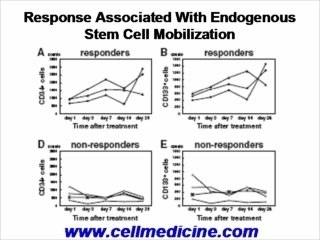 Stem Cell Therapy for Critical Limb Ischemia