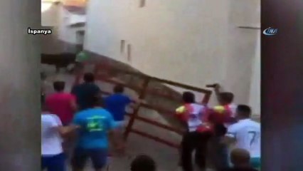 Boğa güreşi ölümle bitti